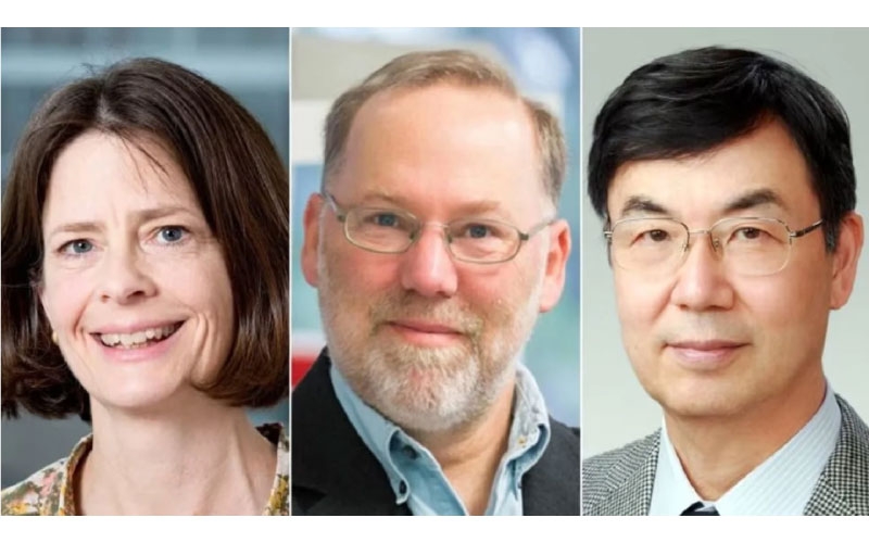 Premio Nobel en Medicina 2025